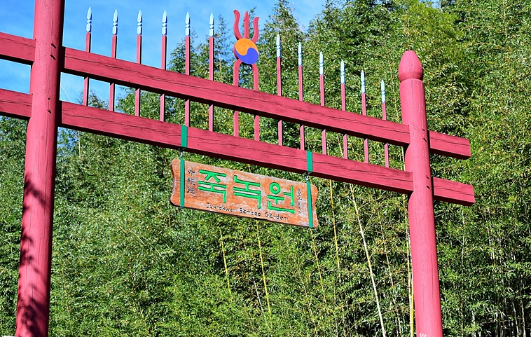 담양 메타세쿼이아길 봄꽃 산책 + 죽녹원시장