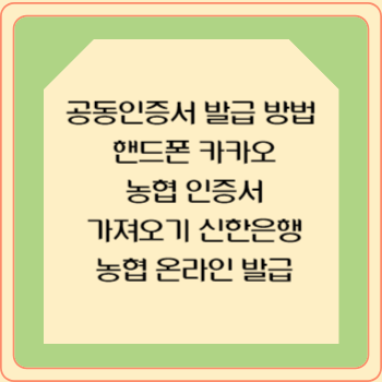공동인증서 발급 방법 핸드폰 카카오 농협 인증서 가져오기 신한은행 농협 온라인 발급