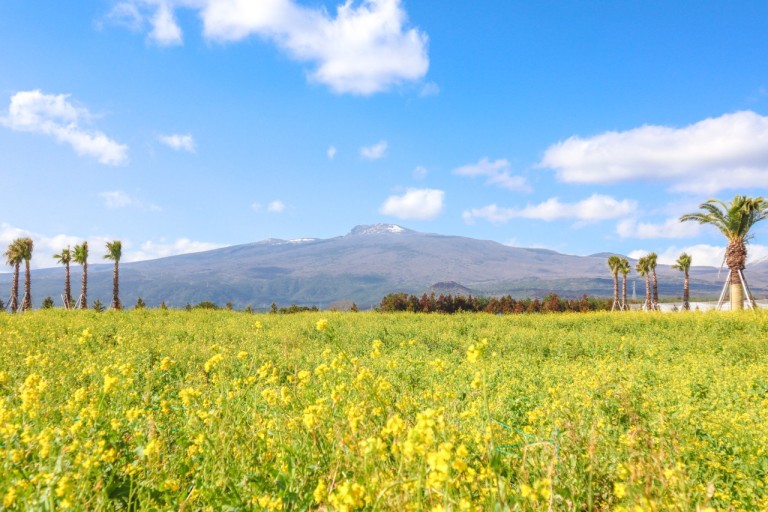 제주도 가볼 만한 곳 10곳