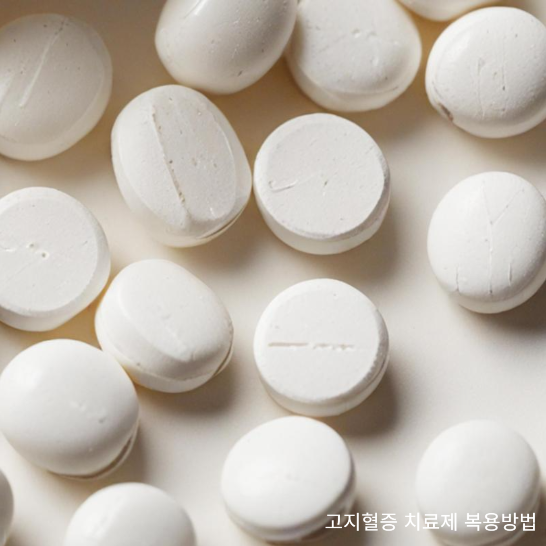 고지혈증 치료제