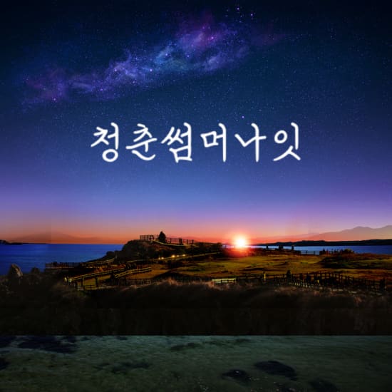 청춘썸머나잇 라인업, 예매