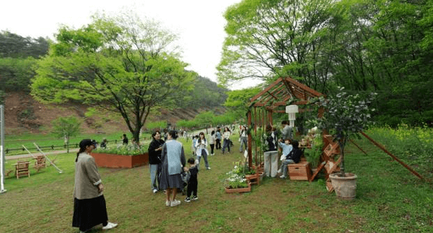 2024 화순 고인돌 가을꽃 축제
