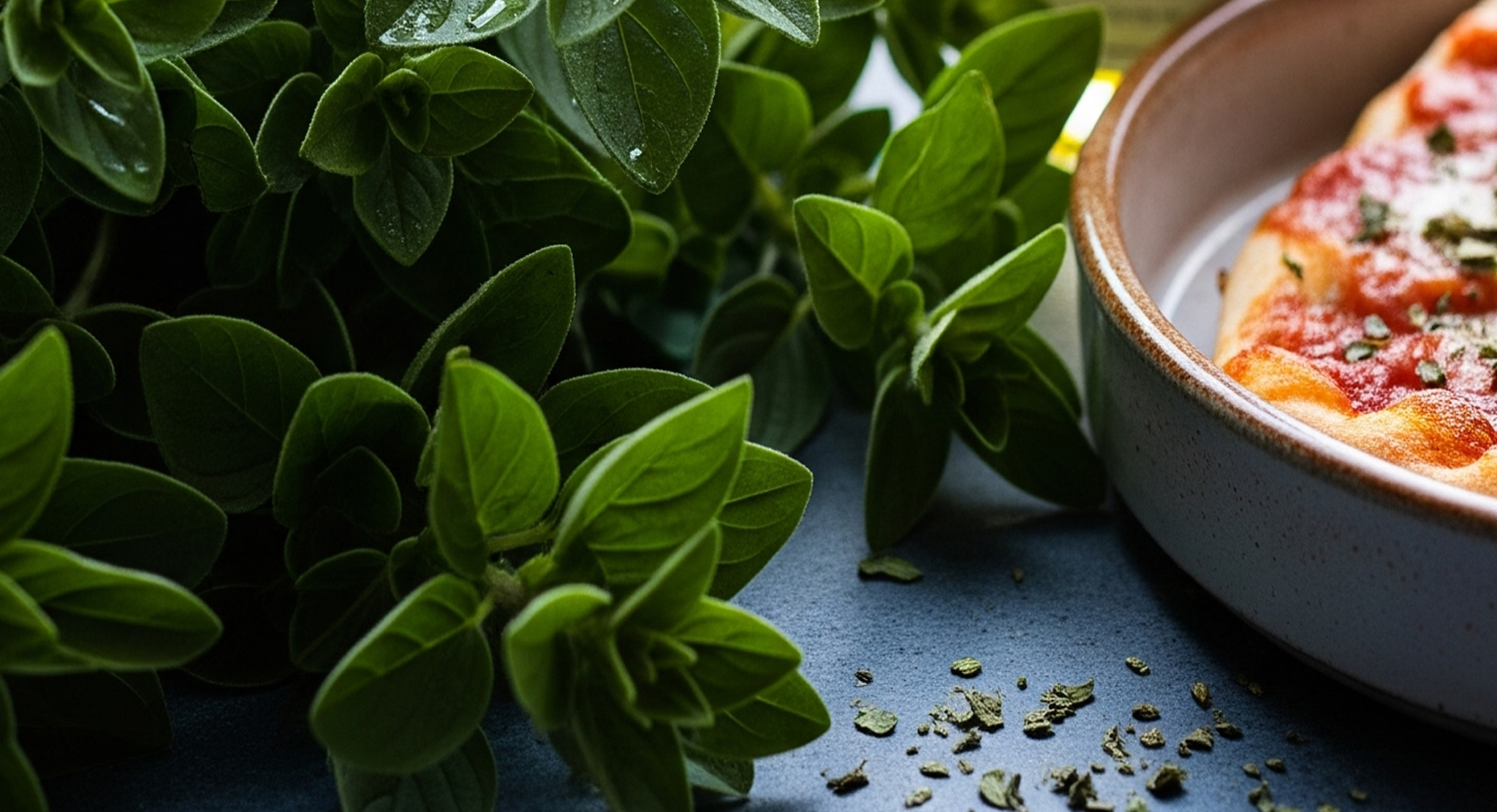 오레가노 관련 이미지