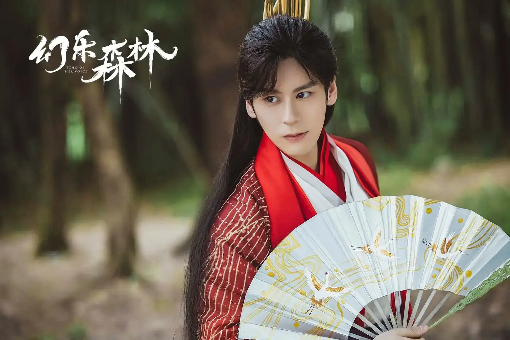 환악삼림: 숲속의 멜로디