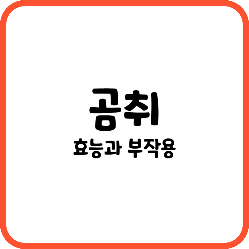 곰취의 효능과 부작용