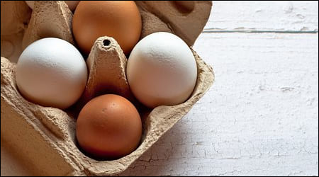 계란이 담긴 용기