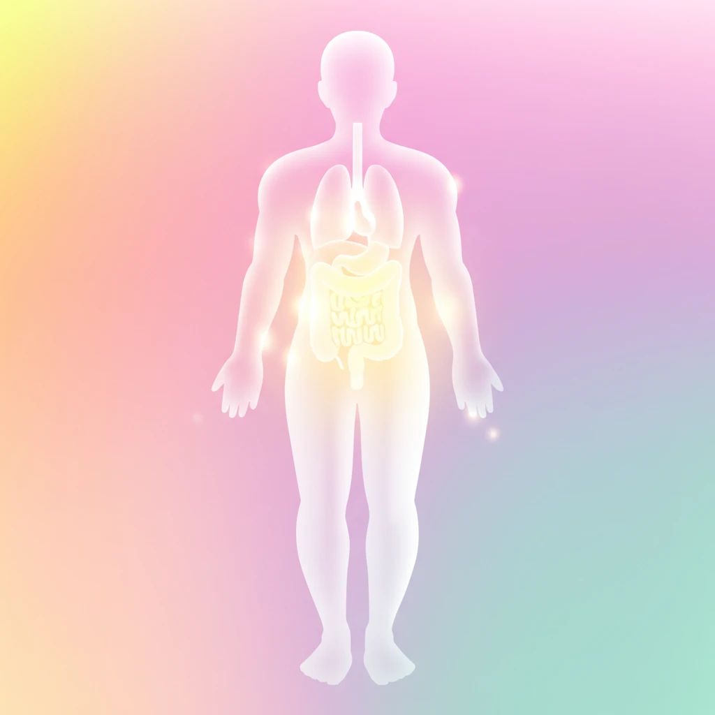 마가보감, 활력 증진 효과? 성분 분..