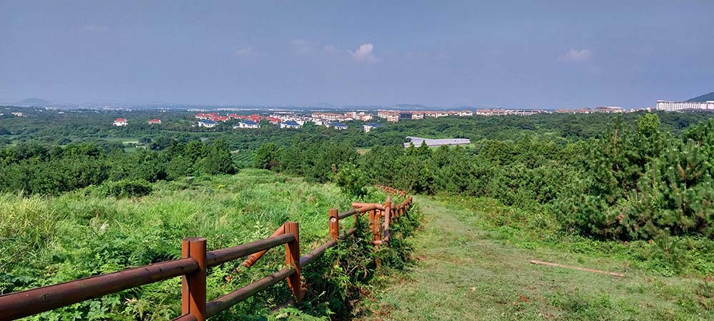 거린오름+곶자왈말보호구조센터