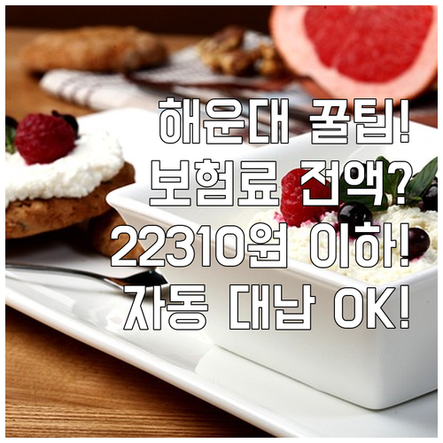 해운대구 어르신 2025 건강보험료 ..