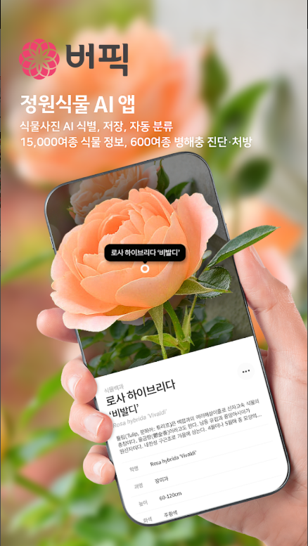 식물 이름 찾기 어플, 식물 백과사전, 식물도감