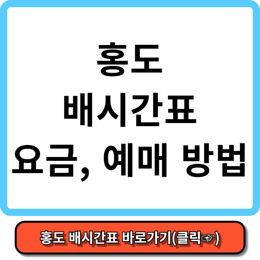 홍도 배시간표, 배편 가격, 예약 방법 - 가보고 싶은 섬