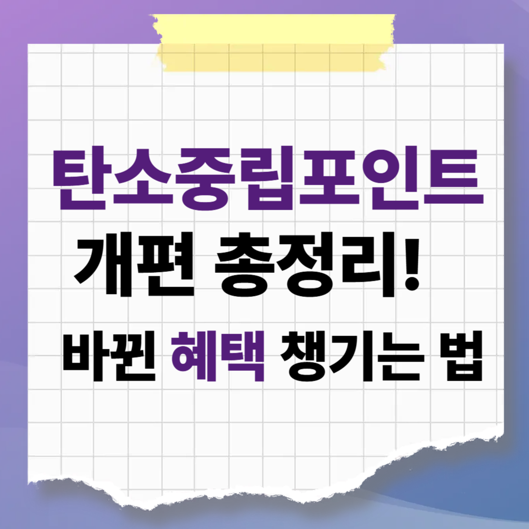 구분 과태료 범칙금
부과 대상 차량 명의자 (카메라 단속 등) 실제 운전자 (현장 단속 등)
감경 혜택 자진 납부 시 20% 감경 없음
벌점 유무 없음 있음 (보험료 할증 가능)