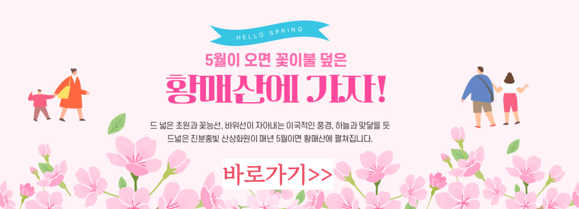 황매산 철쭉제