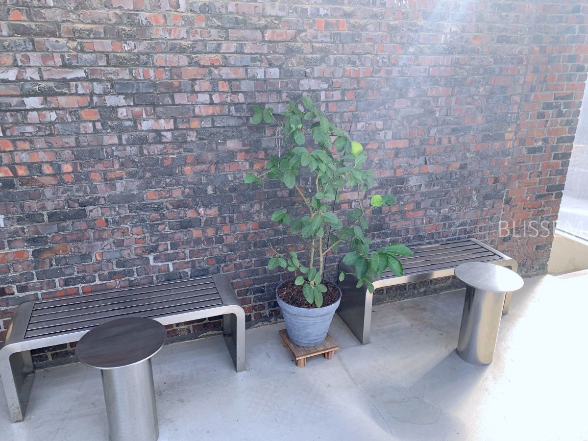 삼각지-카페-파이샵-파이가게-디저트맛집-파이인더샵-인테리어-루프탑