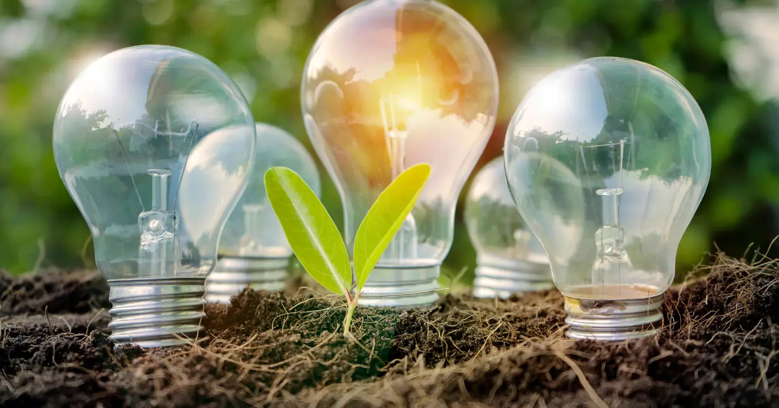 ESG 경영의 도입 절차: 어떻게 시작할까?