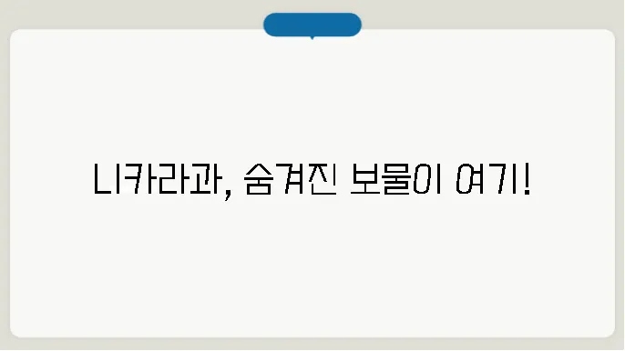 니카라과니 수도, 문화, 특산물