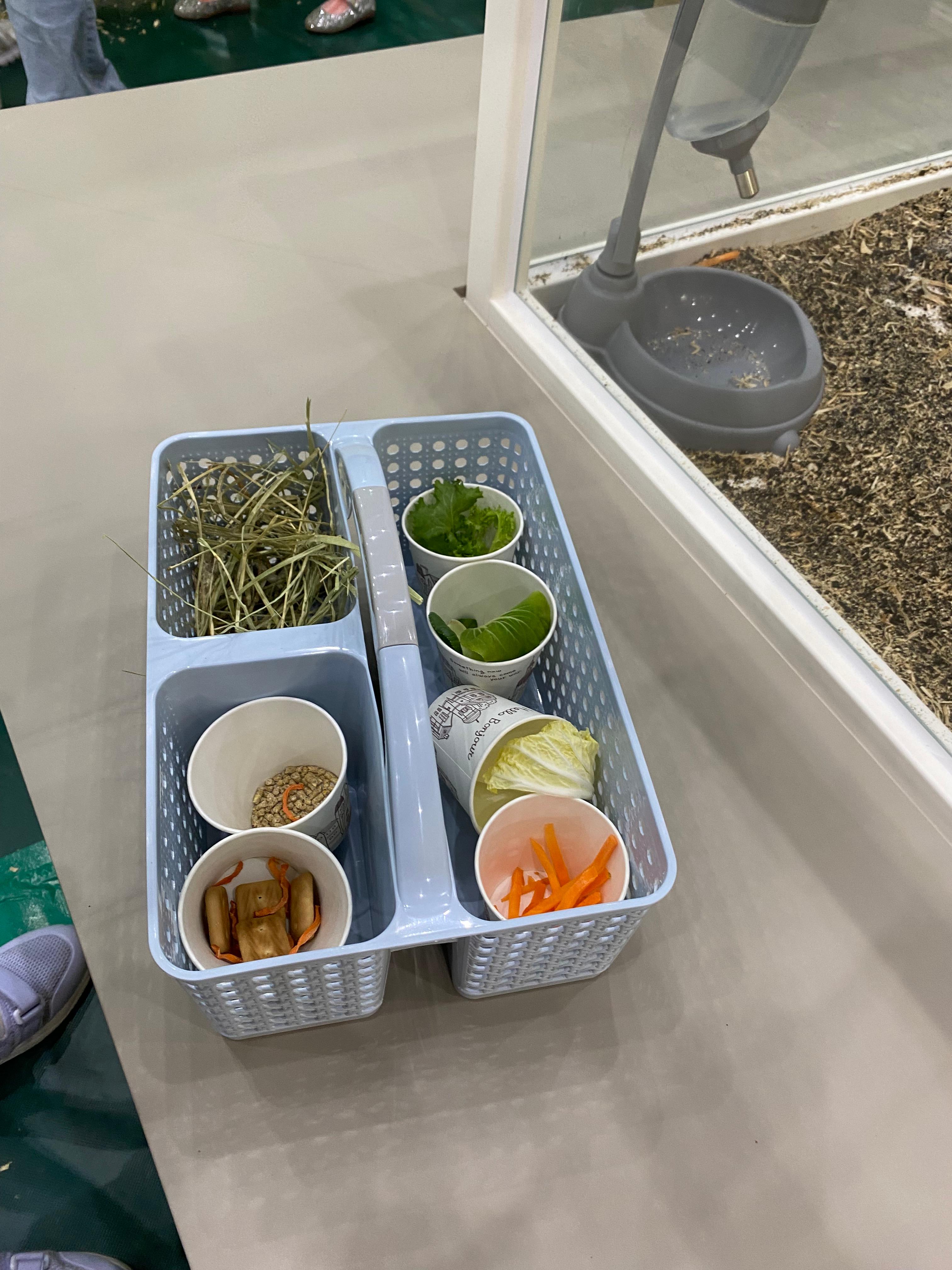 먹이주기 대형 바구니