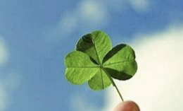 ENTJ 유형 특징 분석