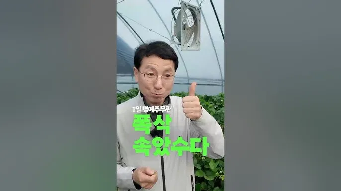 주무관 뜻 급수 하는일 몇급일까_8
