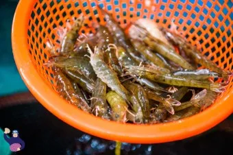 8월 제철 해산물과 7월 제철 해산물 종류 및 주의사항_16