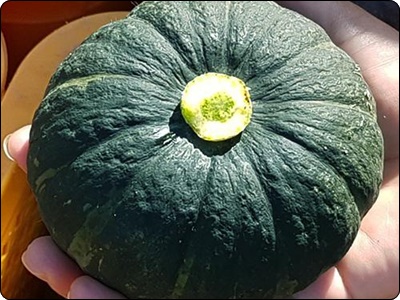 글루타치온 많이든 음식