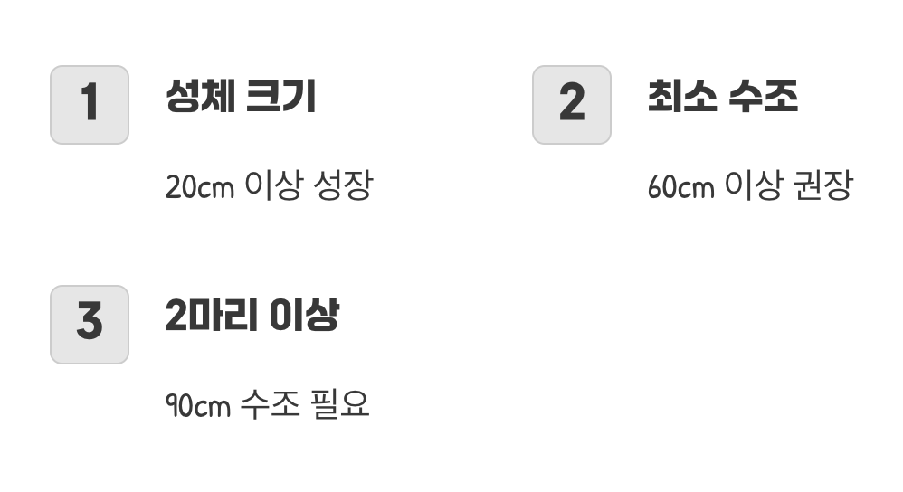 너무 작은 보금자리