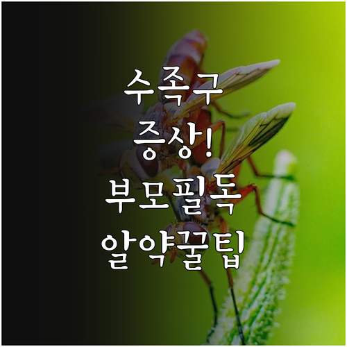 수족구 의심 증상부터 치료까지 합천군..