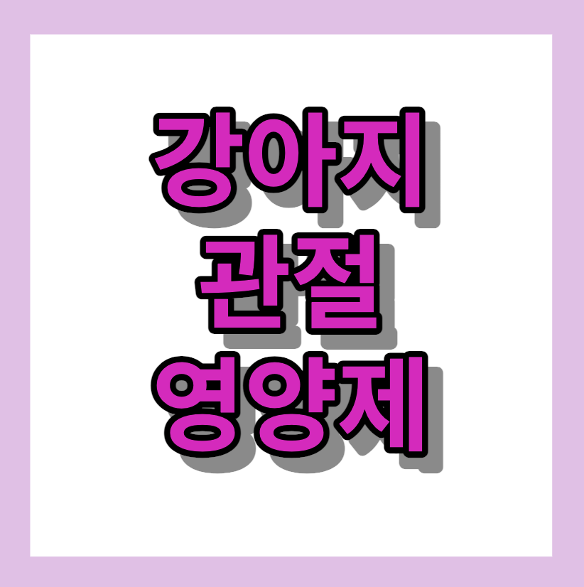 강아지관절영양제