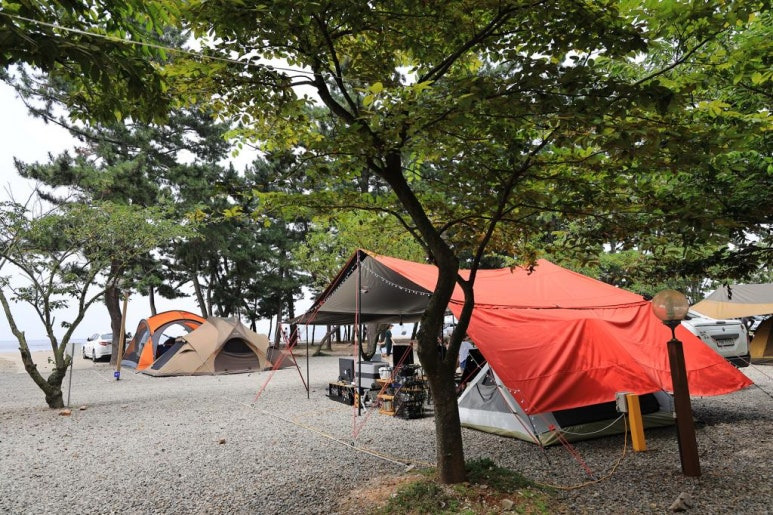 안산 대부도 인생 캠핑장, 추천 캠핑장