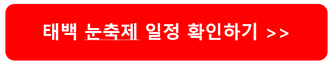 태백 눈축제 2