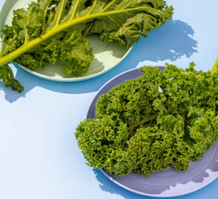 난청에 좋은 음식 영양제 식단