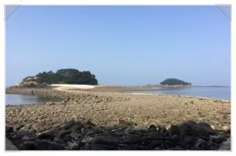 소야도 물때표 여행 낚시 해루질 배편_16