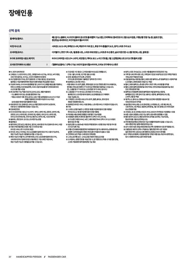 그랜저 가격표 장애인용