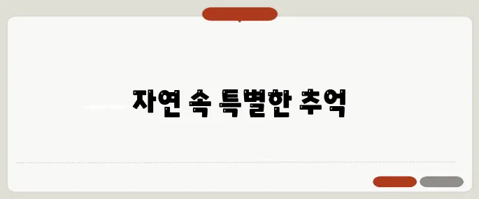 서천 국민여가캠핑장에서의 가족과의 시간