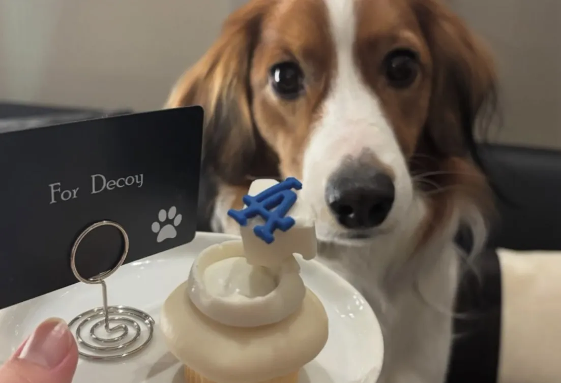 손흥민&amp;#44; 손흥민 시구&amp;#44; 손흥민 오타니&amp;#44; 오타니 쇼헤이&amp;#44; LA 다저스&amp;#44; 손흥민 LA 다저스 시구&amp;#44; LA 다저스 손흥민&amp;#44; 손흥민 시구 영상&amp;#44; 손흥민 LAFC&amp;#44; 손흥민 미국 이적&amp;#44; 손흥민 LAFC 미국 이적&amp;#44; 오타니 쇼헤이 손흥민&amp;#44; 다저스타디움 시구 일정&amp;#44; 손흥민 시구 날짜&amp;#44; 손흥민 다저스 유니폼&amp;#44; 김혜성 손흥민 미국&amp;#44; 손흥민 LAFC 유니폼&amp;#44; 손흥민 굿즈&amp;#44; 손흥민 MLS 인기&amp;#44; 손흥민 유니폼 판매&amp;#44; 손흥민 미국 활동&amp;#44; 손흥민 이적&amp;#44; 손흥민 LA 데뷔&amp;#44; 손흥민 오타니 만남