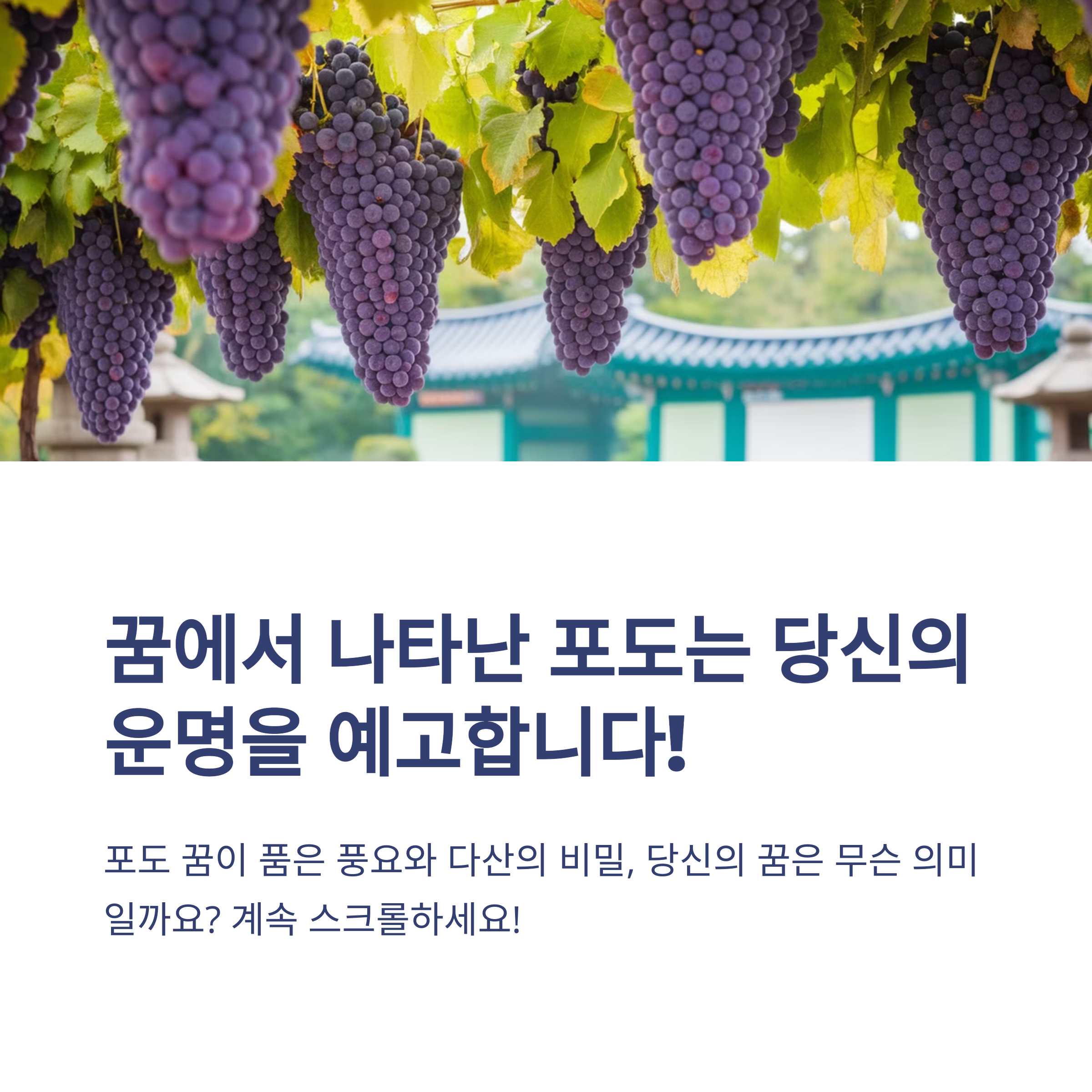포도 꿈 12가지와 해몽 총정리