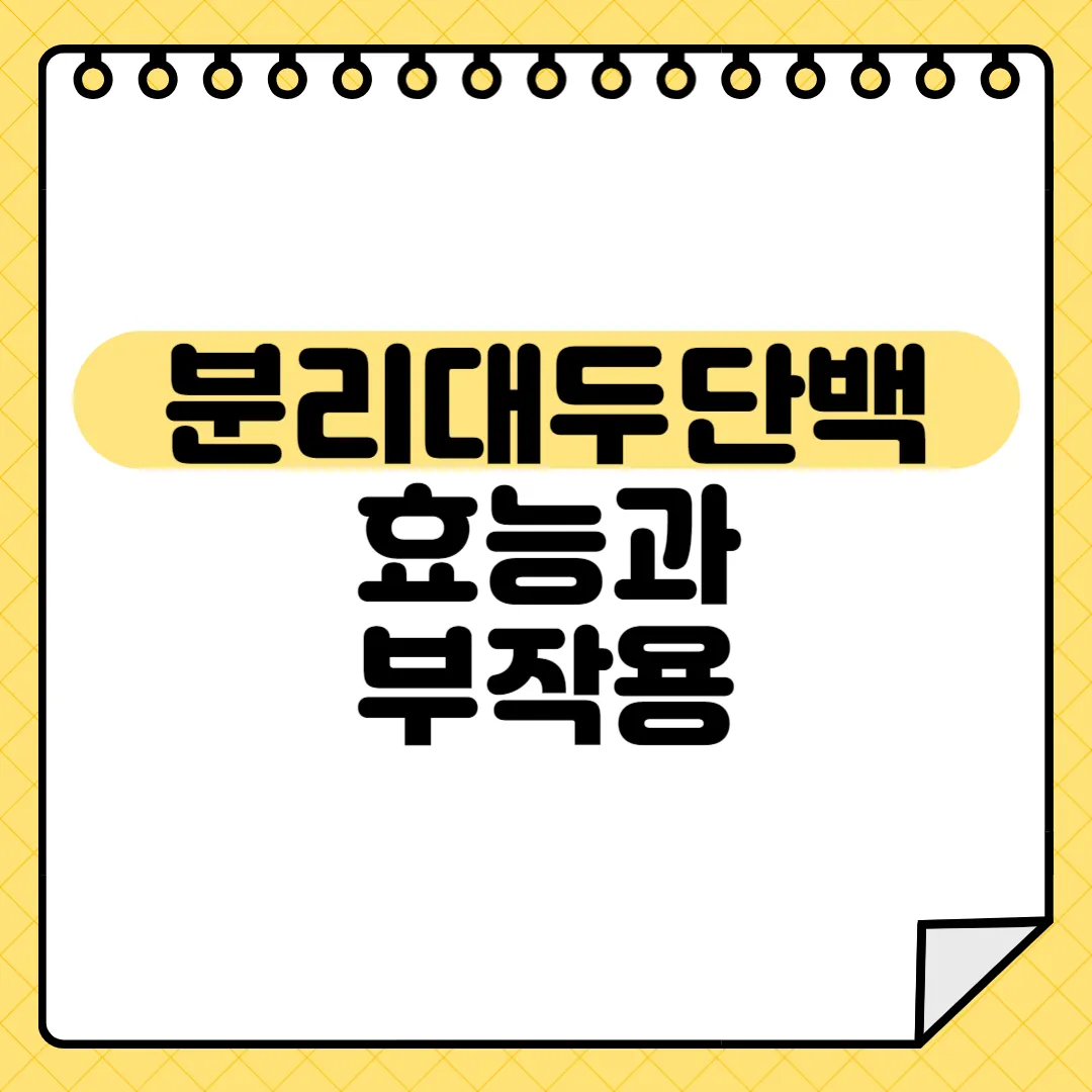 분리대두단백 효능 부작용