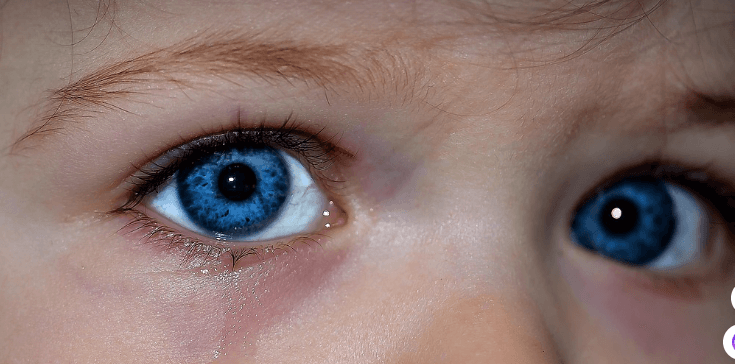 눈에 좋은 음식