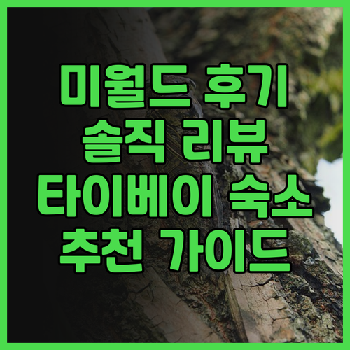 Happiness meworld 솔직..