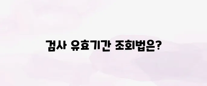 자동차검사 유효기간 만료일 조회·과태료 주의사항 총정리