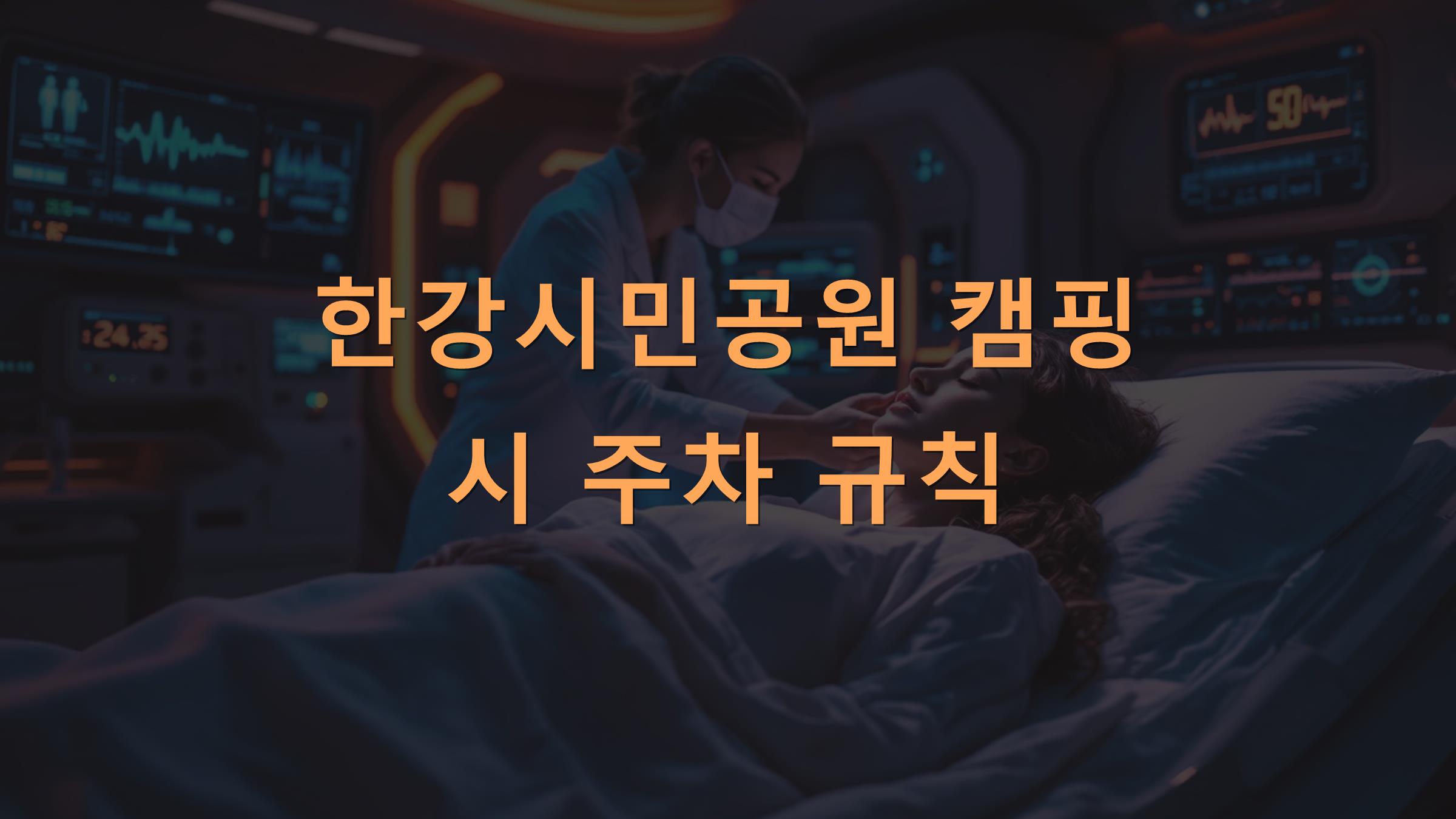 한강시민공원 캠핑 시 주차 규칙