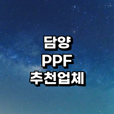 담양군 ppf