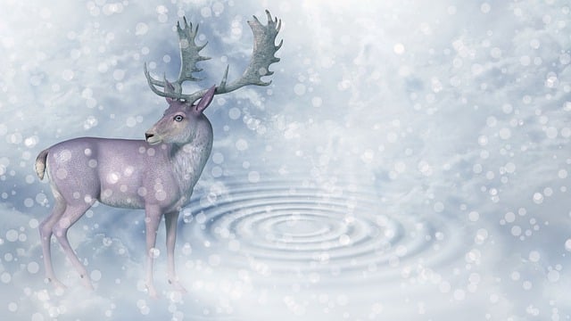 똥 씻어내는 꿈 해몽(똥꿈해몽풀이&amp;#44; 무료꿈해몽풀이)