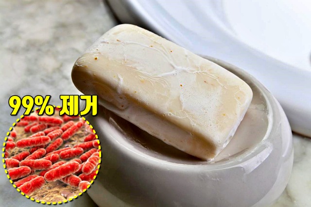 코로나 예방 비누 효과