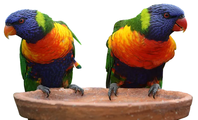 가냘픈 갸날픈 맞춤법 뜻 의미 사용법_9