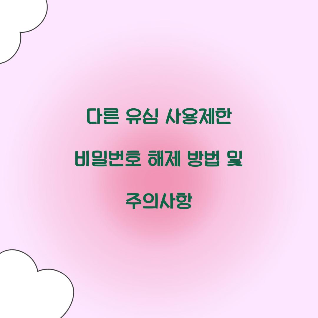 다른 유심 사용제한 비밀번호