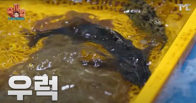 2024 통영 어부장터 축제(출처: 백종원 유튜브)