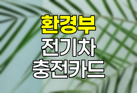 환경부 전기차 충전카드 활용법