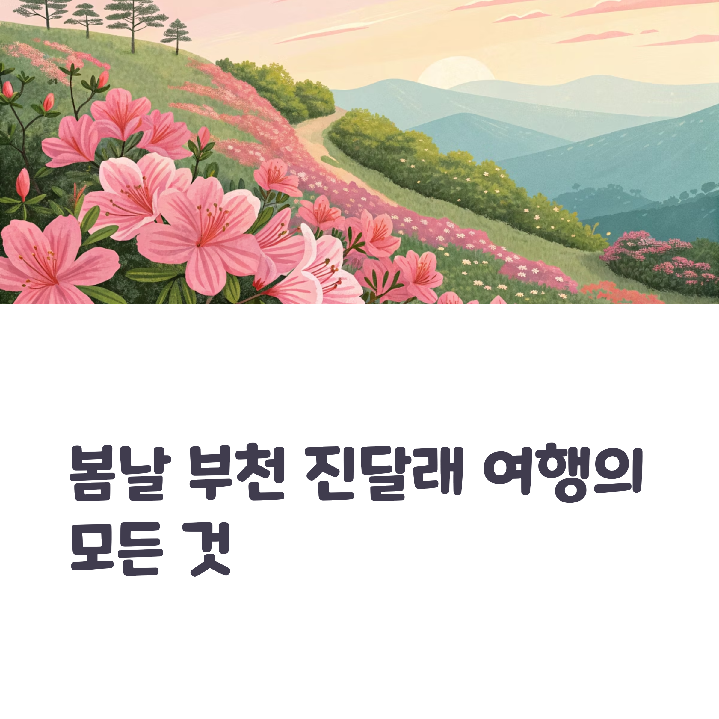 부천 원미산 진달래동산, 지금 가야 하는 진짜 이유 5가지