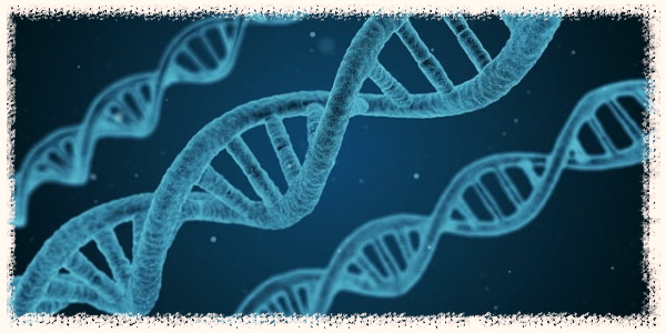 콜라겐-유전자구조설명